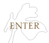 Enter site
